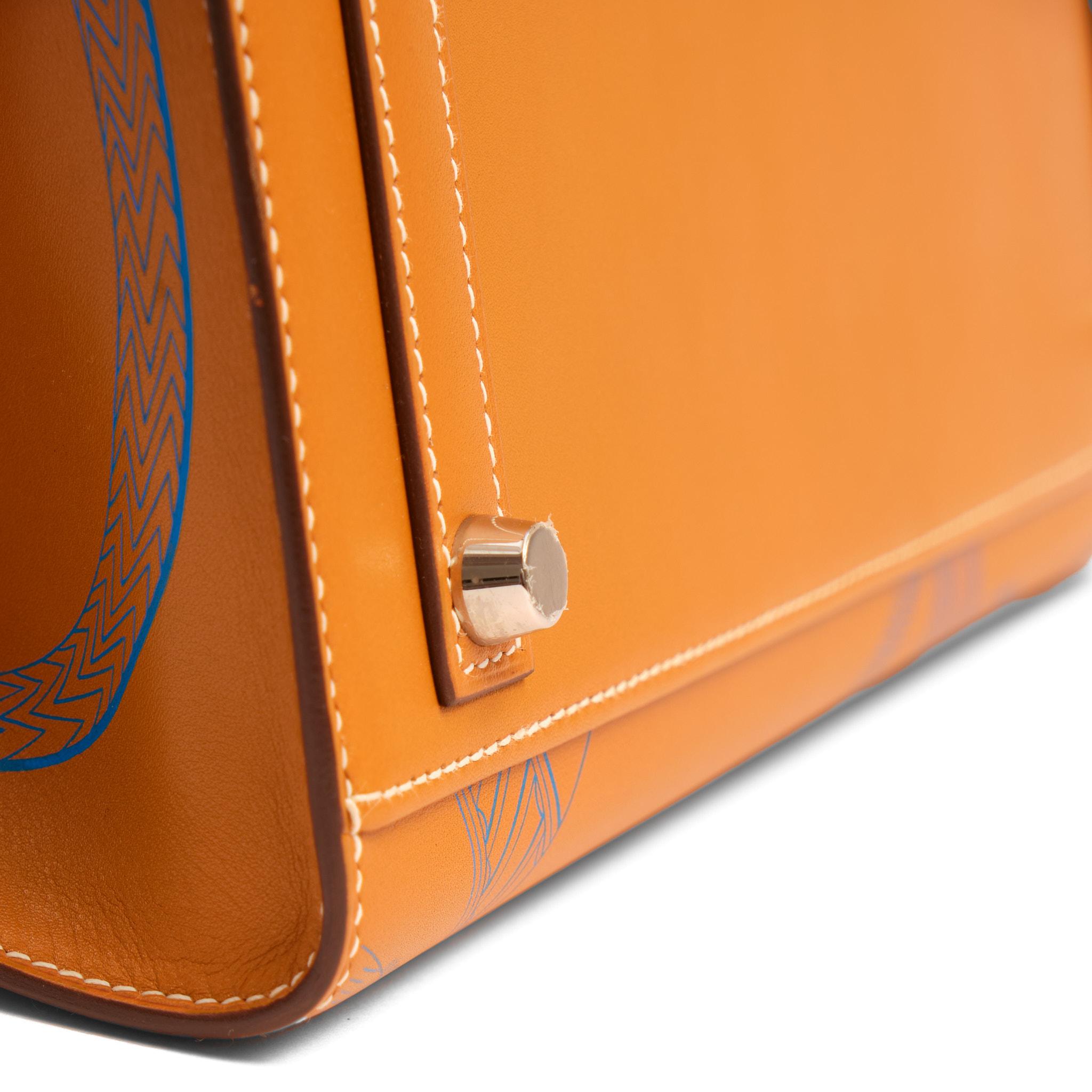 HERMÈS Birkin 30 Sellier Limited Edition Butler Dragons