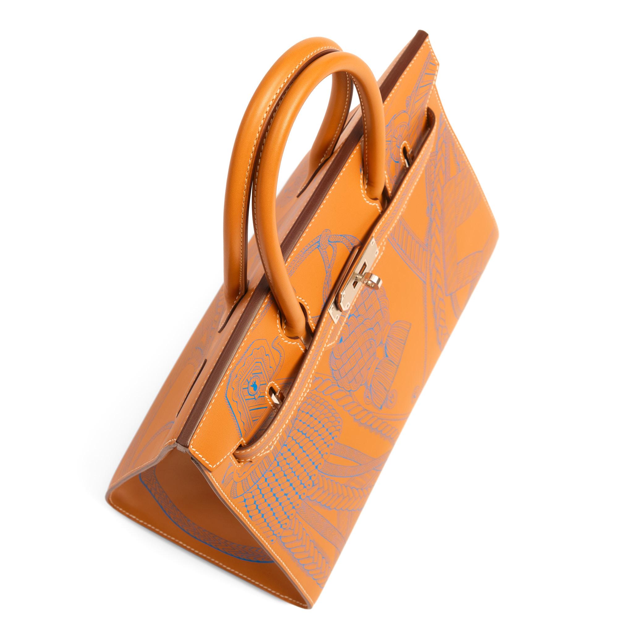 HERMÈS Birkin 30 Sellier Limited Edition Butler Dragons