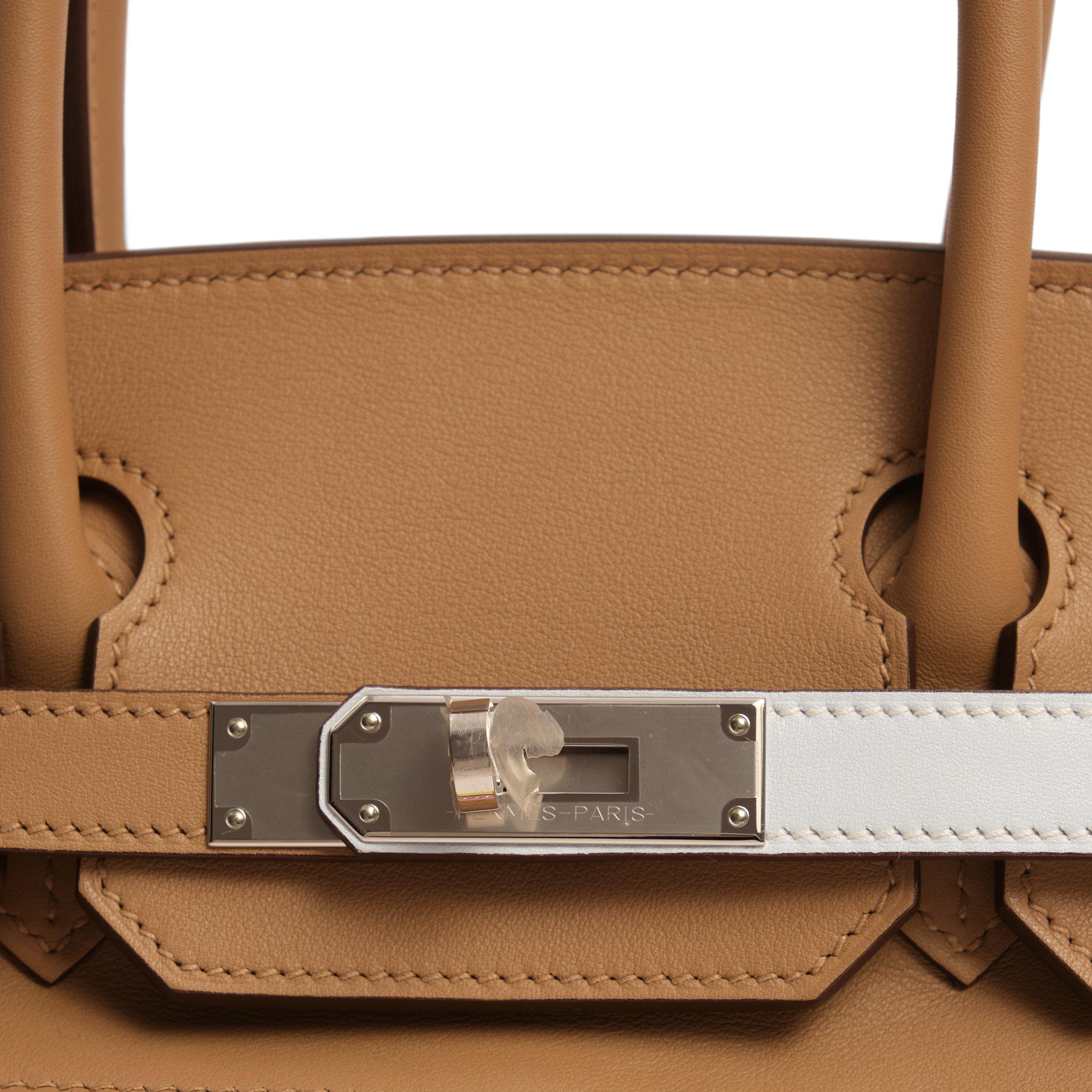 Hermès Birkin 30 Swift Chai Lime Bleu Brume Mauve Sylvestre Nata Cassis