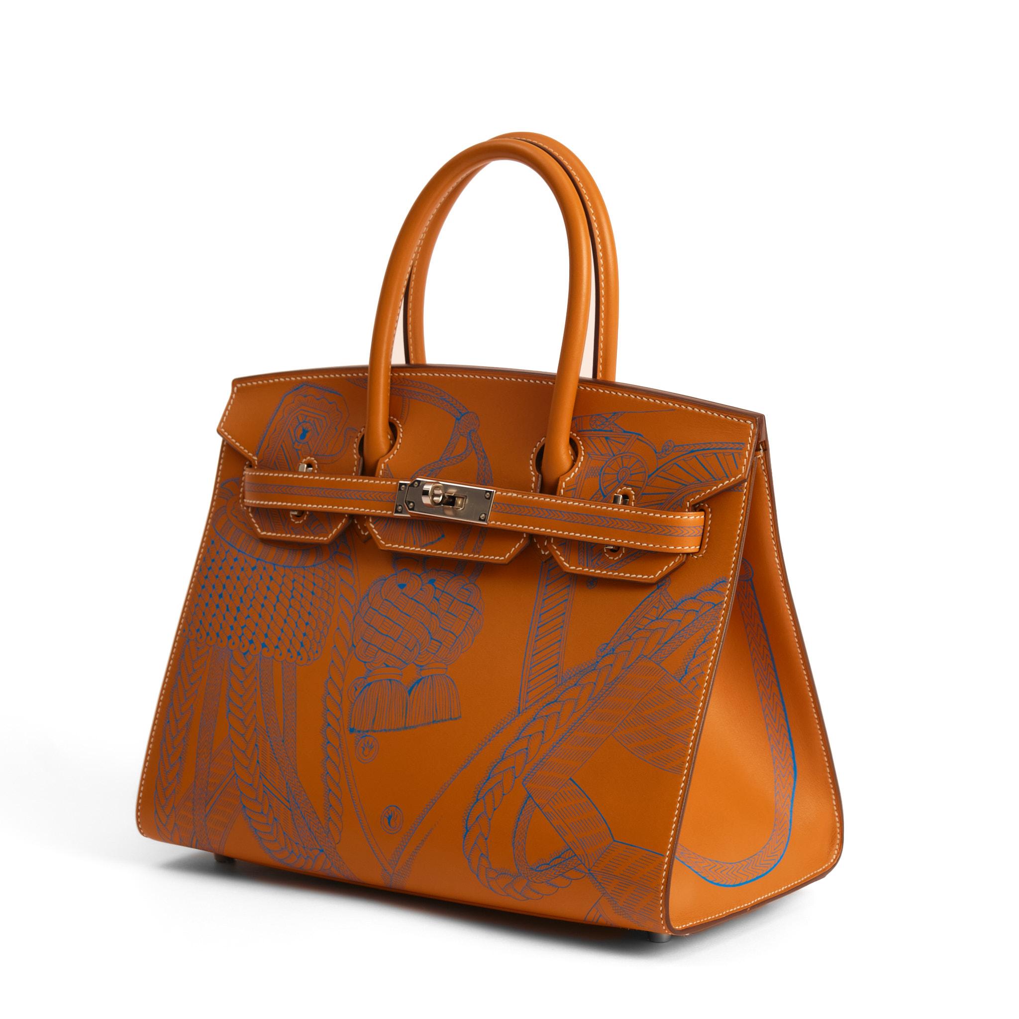 HERMÈS Birkin 30 Sellier Limited Edition Butler Dragons